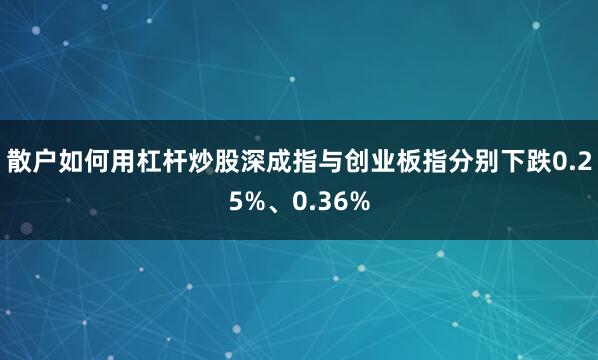 散户如何用杠杆炒股深成指与创业板指分别下跌0.25%、0.36%