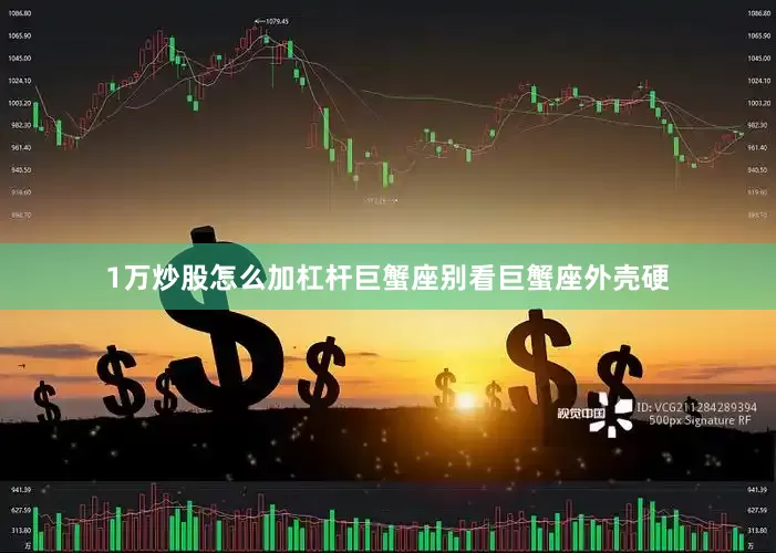 1万炒股怎么加杠杆巨蟹座别看巨蟹座外壳硬