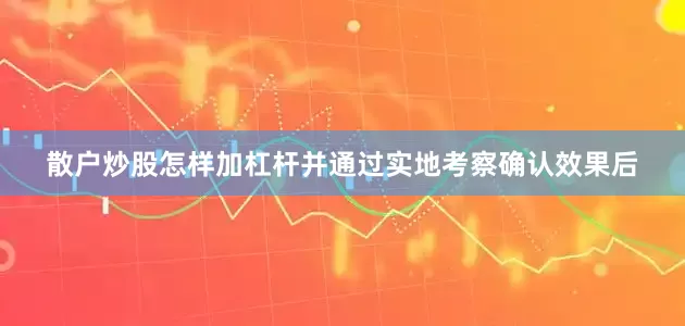 散户炒股怎样加杠杆并通过实地考察确认效果后